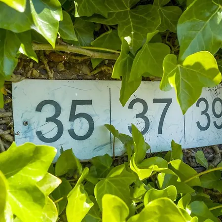 Sibyll - 2km From The Sea By Interhome Apartment *