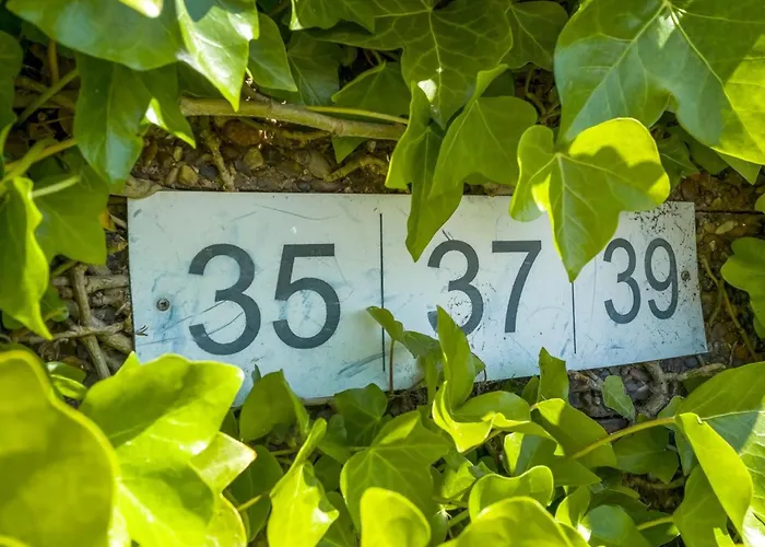 Sibyll - 2km From The Sea By Interhome Διαμέρισμα *